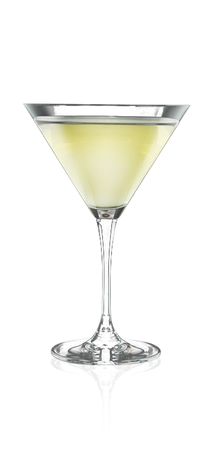 GINGER ROSE MARTINI